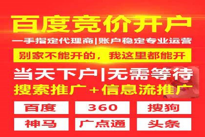 竞价推广公司案例分析：精准投放策略助力企业业绩翻倍